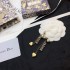 Autumn new work with a sense of stability DIOR Dior 2022AW Earrings