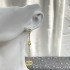 New Limited Quantity Sale DIOR Dior 2022AW Earrings