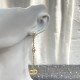 New Limited Quantity Sale DIOR Dior 2022AW Earrings New Limited Quantity Sale DIOR Dior 2022AW Earrings