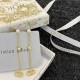 New Limited Quantity Sale DIOR Dior 2022AW Earrings New Limited Quantity Sale DIOR Dior 2022AW Earrings