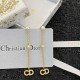 New Limited Quantity Sale DIOR Dior 2022AW Earrings New Limited Quantity Sale DIOR Dior 2022AW Earrings