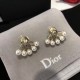 Autumn and winter continue to attract attention DIOR Dior 2022AW earrings Autumn and winter continue to attract attention DIOR Dior 2022AW earrings