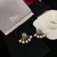 Autumn and winter continue to attract attention DIOR Dior 2022AW earrings Autumn and winter continue to attract attention DIOR Dior 2022AW earrings