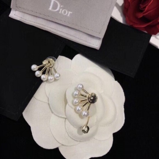 Autumn and winter continue to attract attention DIOR Dior 2022AW earrings Autumn and winter continue to attract attention DIOR Dior 2022AW earrings