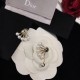 Autumn and winter continue to attract attention DIOR Dior 2022AW earrings Autumn and winter continue to attract attention DIOR Dior 2022AW earrings