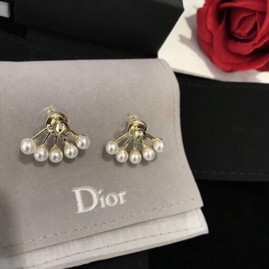 Autumn and winter continue to attract attention DIOR Dior 2022AW earrings Autumn and winter continue to attract attention DIOR Dior 2022AW earrings