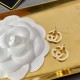 Growing popularity 2022 GUCCI Gucci earrings Growing popularity 2022 GUCCI Gucci earrings
