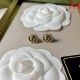 Affordable 2022 GUCCI Gucci earrings Affordable 2022 GUCCI Gucci earrings