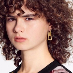 Inundation of orders 2022 LOUIS VUITTON Louis Vuitton earrings