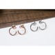 Spring / Summer latest work Inevitably sold out 2022 PIAGET Piaget earrings Spring / Summer latest work Inevitably sold out 2022 PIAGET Piaget earrings