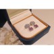 Delivered from overseas Limited edition 2022 PIAGET Piaget earrings Delivered from overseas Limited edition 2022 PIAGET Piaget earrings