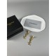 Autumn Recommended New YSL Yves Saint Laurent 2022AW Earrings Autumn Recommended New YSL Yves Saint Laurent 2022AW Earrings