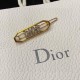 DIOR Dior 2022SS Hair ornaments for summer and autumn DIOR Dior 2022SS Hair ornaments for summer and autumn