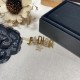 DIOR Dior 2022SS New hair ornament that is extremely popular DIOR Dior 2022SS New hair ornament that is extremely popular