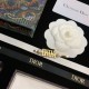 New Limited Gorgeous Cute DIOR Dior 2022AW Hairpin New Limited Gorgeous Cute DIOR Dior 2022AW Hairpin