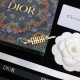 New Limited Gorgeous Cute DIOR Dior 2022AW Hairpin New Limited Gorgeous Cute DIOR Dior 2022AW Hairpin