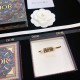 New Limited Gorgeous Cute DIOR Dior 2022AW Hairpin New Limited Gorgeous Cute DIOR Dior 2022AW Hairpin