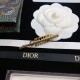 New Limited Gorgeous Cute DIOR Dior 2022AW Hairpin New Limited Gorgeous Cute DIOR Dior 2022AW Hairpin