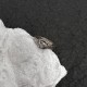 GUCCI Gucci 2022SS Fashionable must-see ring GUCCI Gucci 2022SS Fashionable must-see ring