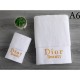 2022AW This year's hottest trend towel DIOR Dior 2022AW This year's hottest trend towel DIOR Dior