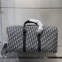 2022SS Travel bag Best item DIOR Dior