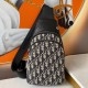 2022SS Men's Chest Bag Overwhelming Approval Rating DIOR Dior 2022SS Men's Chest Bag Overwhelming Approval Rating DIOR Dior