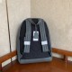 A lot of colors popular backpack 2022SS DIOR Dior A lot of colors popular backpack 2022SS DIOR Dior
