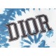 Men's T-shirt 2022SS DIOR Dior indispensable for spring and summer coordination Men's T-shirt 2022SS DIOR Dior indispensable for spring and summer coordination