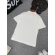 Show me a calm atmosphere Men's T-shirt 2022SS DIOR Dior Show me a calm atmosphere Men's T-shirt 2022SS DIOR Dior