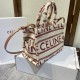 CELINE Celine Tote Bag 2022SS Popular item for magazines and towns CELINE Celine Tote Bag 2022SS Popular item for magazines and towns