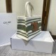 CELINE Celine tote bag 2022SS popularity continues limited item CELINE Celine tote bag 2022SS popularity continues limited item
