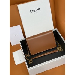 CELINE Celine shoulder bag 2022SS limited item delivered from overseas