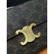 CELINE Celine shoulder bag 2022SS CELINE Celine shoulder bag 2022SS