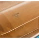 CELINE Celine shoulder bag 2022SS CELINE Celine shoulder bag 2022SS