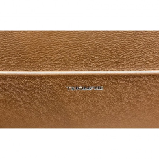 CELINE Celine shoulder bag 2022SS domestic sale almost sold out CELINE Celine shoulder bag 2022SS domestic sale almost sold out