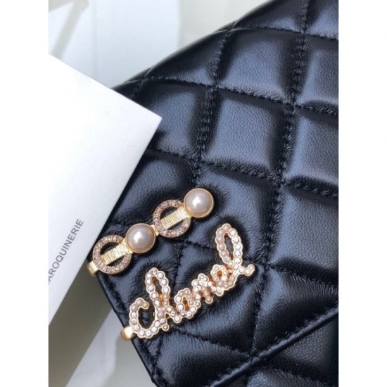 2022SS CHANEL Chanel Women's Bag for exquisite dressing 2022SS CHANEL Chanel Women's Bag for exquisite dressing