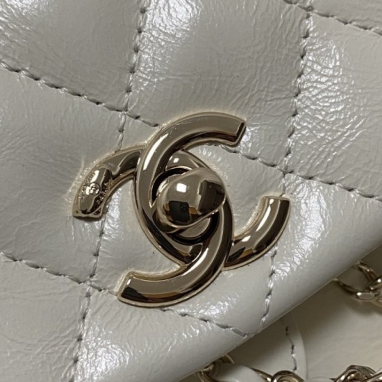 2022SS CHANEL Chanel Women's Bag I Want to Hold This Spring 2022SS CHANEL Chanel Women's Bag I Want to Hold This Spring