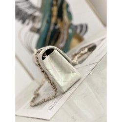 New 2022SS CHANEL Women's Bag, which has been featured in many magazines