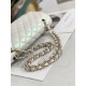 New elegantly dressed 2022SS CHANEL Chanel Women's Bag New elegantly dressed 2022SS CHANEL Chanel Women's Bag