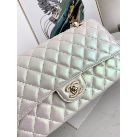 New elegantly dressed 2022SS CHANEL Chanel Women's Bag New elegantly dressed 2022SS CHANEL Chanel Women's Bag