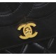 Enjoy the latest summer style 2022SS CHANEL Chanel Women's Bag Enjoy the latest summer style 2022SS CHANEL Chanel Women's Bag