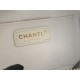 Brand new 2022SS CHANEL Chanel ladies bag that can not wait for summer Brand new 2022SS CHANEL Chanel ladies bag that can not wait for summer