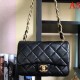 2022SS CHANEL Chanel Ladies Bag for a limited time only 2022SS CHANEL Chanel Ladies Bag for a limited time only