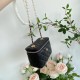 2022SS CHANEL Shoulder bag attracts attention in early summer 2022SS CHANEL Shoulder bag attracts attention in early summer