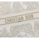 There is no doubt about the latest trends 2022SS DIOR Dior Ladies Bag There is no doubt about the latest trends 2022SS DIOR Dior Ladies Bag