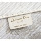 There is no doubt about the latest trends 2022SS DIOR Dior Ladies Bag There is no doubt about the latest trends 2022SS DIOR Dior Ladies Bag