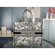 Nice outfit is the hottest 2022SS DIOR Dior Ladies Bag Nice outfit is the hottest 2022SS DIOR Dior Ladies Bag