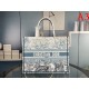Nice outfit is the hottest 2022SS DIOR Dior Ladies Bag Nice outfit is the hottest 2022SS DIOR Dior Ladies Bag