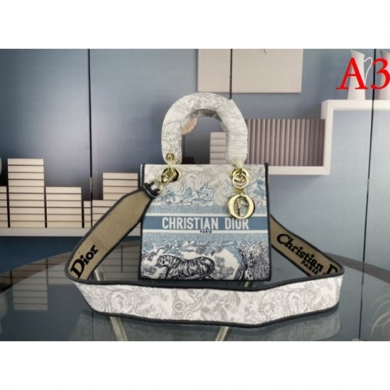 By far the recommended popular new 2022SS DIOR Dior ladies bag By far the recommended popular new 2022SS DIOR Dior ladies bag