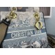 By far the recommended popular new 2022SS DIOR Dior ladies bag By far the recommended popular new 2022SS DIOR Dior ladies bag